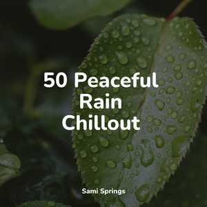 Swelling Tide Ocean Waves