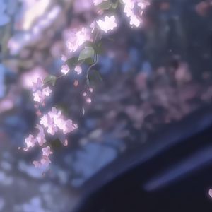 有你，平淡也有了意义。 伴奏