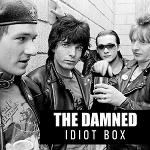 Idiot Box (Live)