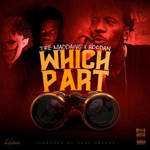 Which Part (feat. Boodan)