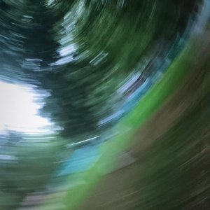 我们像候鸟 错过了季节