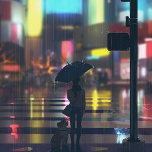 雨中的三菱镜会折射什么颜色的光