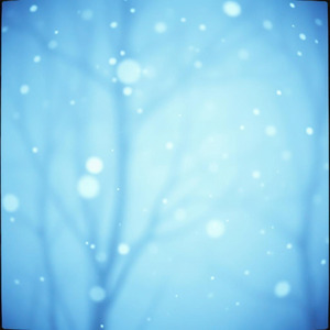 初雪が積もった道で