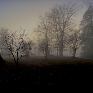 EVERYTHING WE'VE BEEN THROUGH