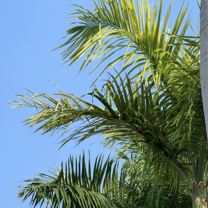 旷野的心有了方向