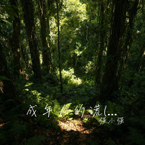 成年人的谎(男声）