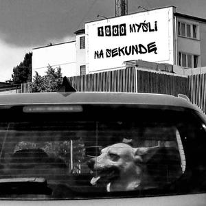 Spokojnie (feat. Lucek)