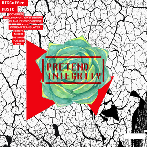 Pretend Integrity（2016金南俊生贺）