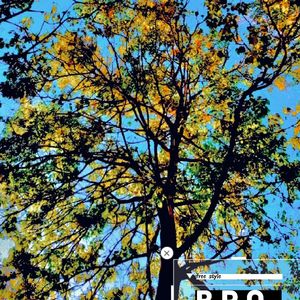 BRO freestyle（prod by.jeston）