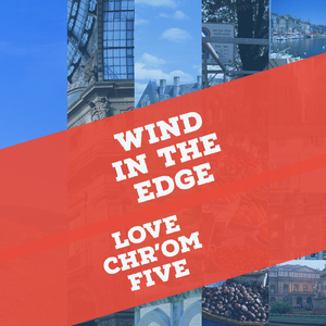 The Twins of the Prince