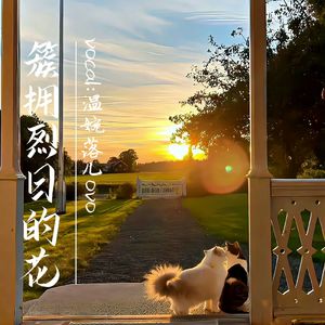 簇拥烈日的花(治愈女声版)