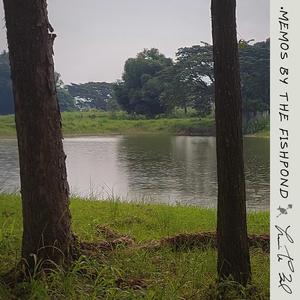 Tinig (Original Voice Memo)