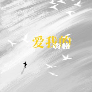 爱我的资格（S.H.E)