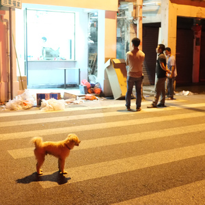 黑暗像河水 DEMO1