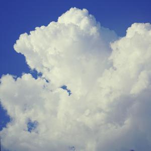 广州的天气让人有点jam