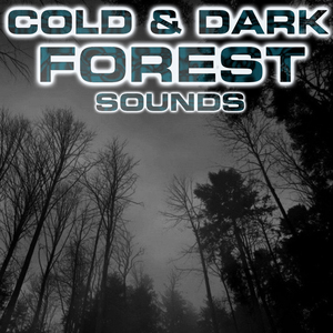 Howling Cold & Dark Forest 3D
