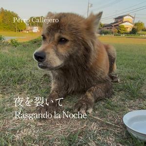 夜を裂いて（Rasgando la noche）