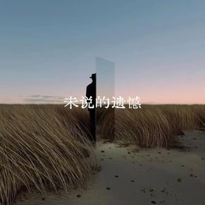 未说的遗憾