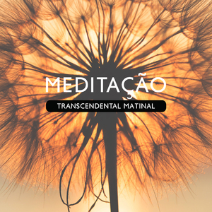 Meditação Transcendente
