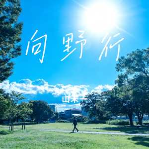 向野行