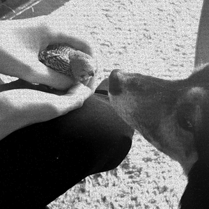 xxxxxxxxxxxxxxxxxxxxxxxxxxxxxxxxxxxxxxxxxxxxxxxxxxxxxxxxxxxxxxxxx