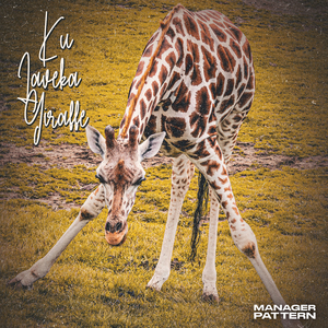 Ku Laveka Giraffe