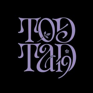 Todtad19