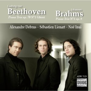 Trio pour piano & cordes No. 5 in D Major, Op. 70 No. 1 "Des esprits": I. Allegro vivace e con brio