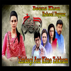 Zindagi Aur Kitne Zakham