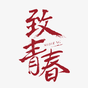 我的青春呐.致青春