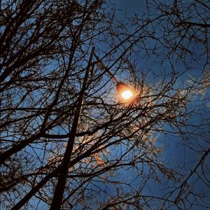 [FREE] 一起飞 The Kid LAROI x Fivio Foreign Type beat