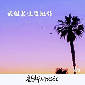 我假装过得挺好