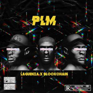 PLM (feat. Blockchain)