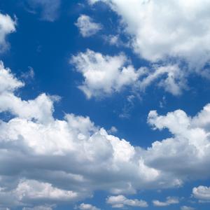 有一天你会明白