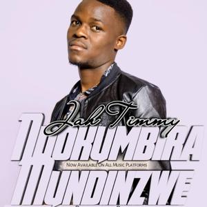 Ndokumbira Mundinzwe