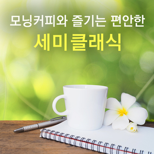 슈만 : 트로이메라이