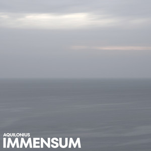 Immensum