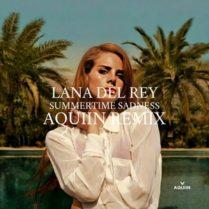 Summertime Sadness (AQUIIN Remix)