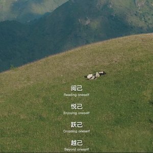 学会和自己和解