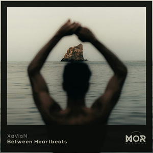 Between Heartbeats