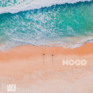 Mood (feat. RICO.)