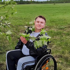 Шошо сӧра пиалым