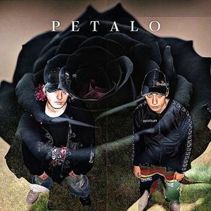 Petalo