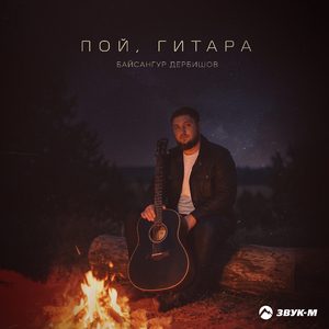Пой, гитара