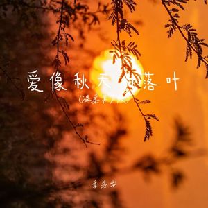 爱像秋天的落叶（温柔男声版）