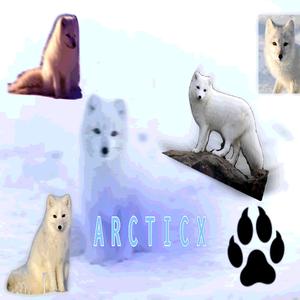 ARCTICX