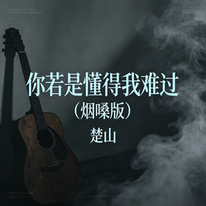 你若是懂得我难过(烟嗓版)