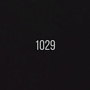 1029