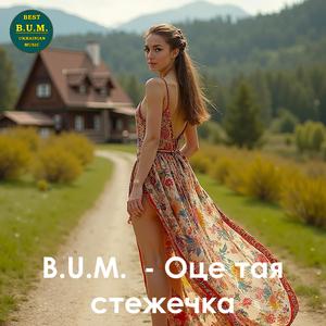 Оце тая стежечка