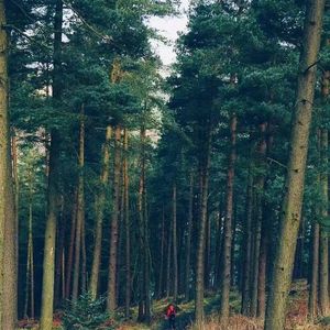 春雪（李健唱法）